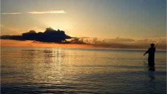 The silhouette of a man fishing at dusk