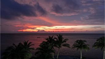 A red sunset over the ocean and palm trees