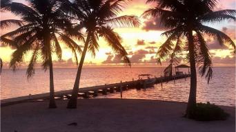 a beach with palm trees and a long pier and an orange sunset